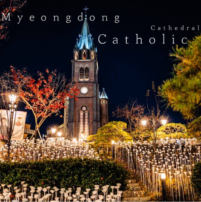 Myeongdong Cathedral Night View