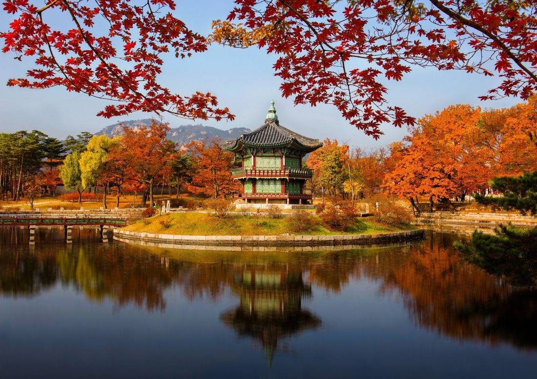 Gyeongbokgung Palace Autumn Foliage
